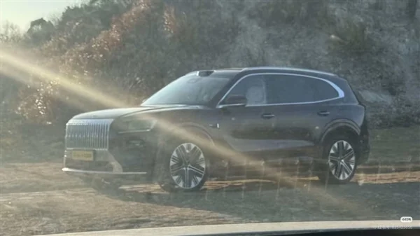 寶馬X5國產(chǎn)平替 極氪8X實車出街